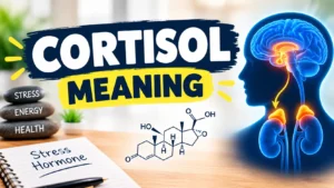 Cortisol Meaning