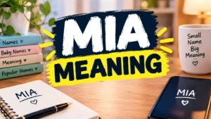 MIA Meaning