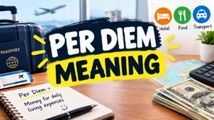 Per Diem Meaning