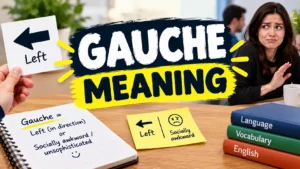 Gauche Meaning
